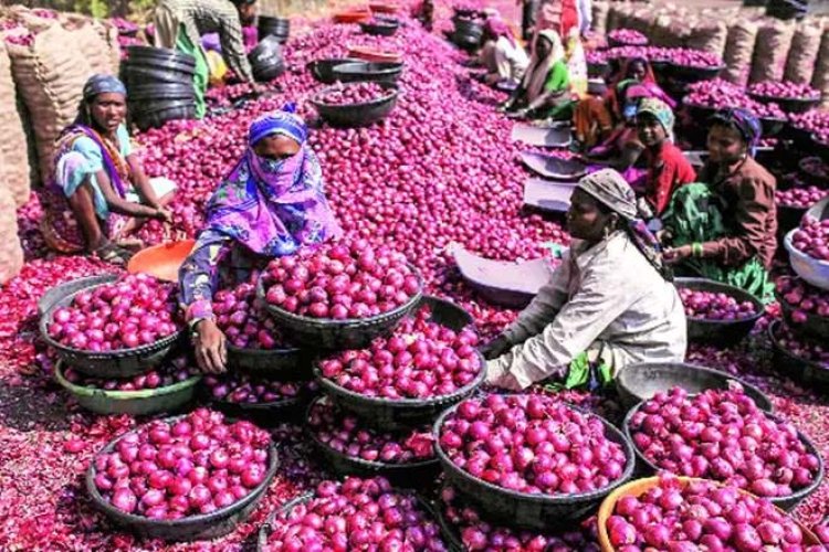 आशियातील सर्वात मोठ्या कांदा मार्केटचे काम ठप्प, शेतकऱ्यांनी केला सरकारचा निषेध