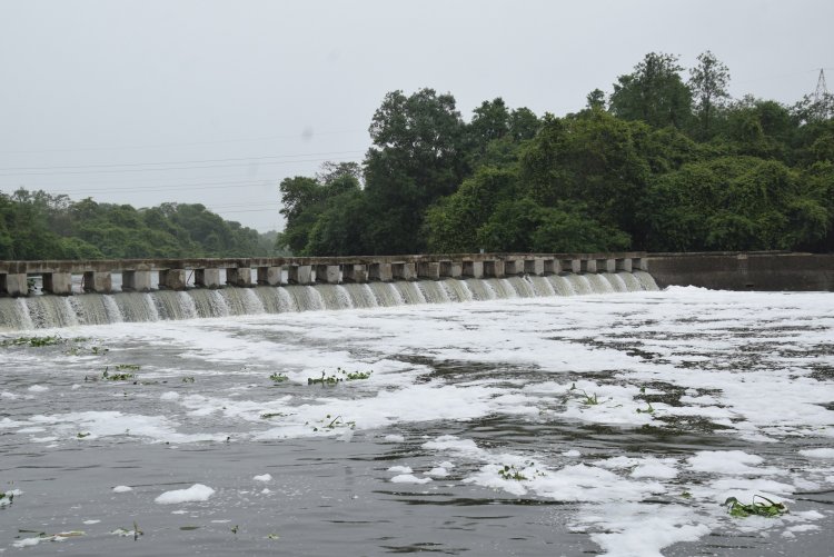 केजुबाई बंधारा फेसाळला