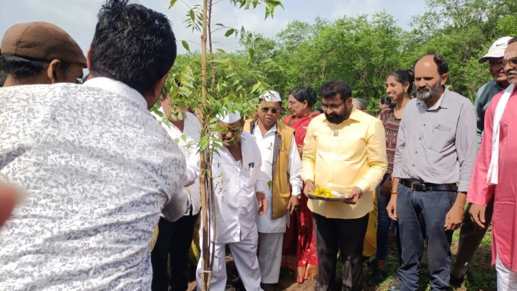 मराठवाडा चॅरीटेबल ट्रस्ट एकसंघ समितीच्या वतीने भंडारा डोंगरावर 500 रोपांचे संरक्षक जाळीसह वृक्षारोपण 