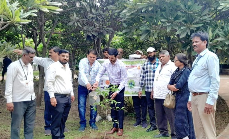 पिंपरी चिंचवड महानगरपालिकेच्या ब क्षेत्रिय कार्यालयांतर्गत वृक्षारोपण