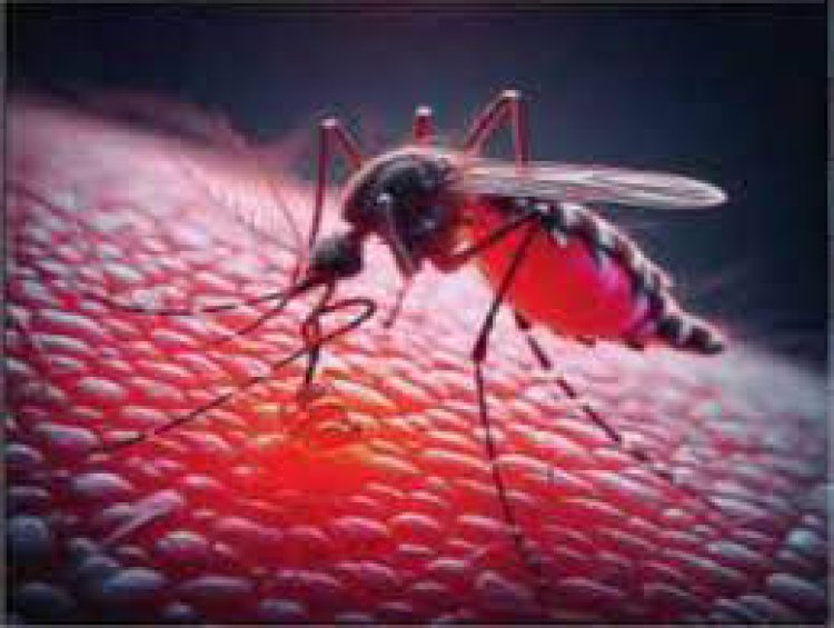 राज्यात मलेरिया, डेंग्यू, चिकनगुनियाचे रुग्ण घटले
